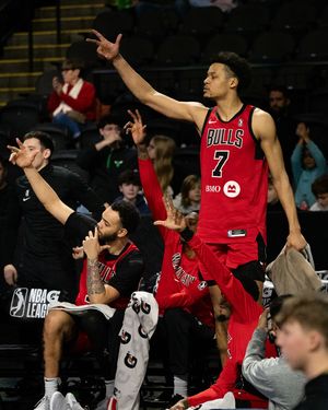Image post by @windycitybulls on Instagram