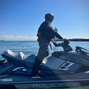 Image post by @seahorsecases on Instagram