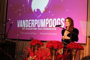 Image post by @lisavanderpump on Instagram