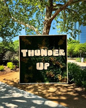 Image post by @myriadgardens on Instagram