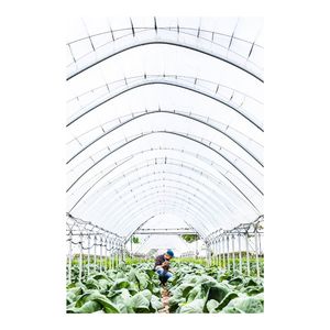 Image post by @ubs on Instagram