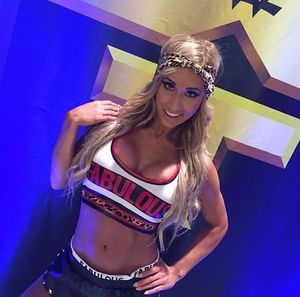 Image post by @thewrestlingclassic on Instagram