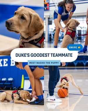 Image post by @ncaa on Instagram