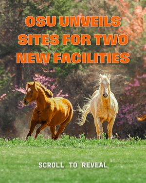 Image post by @okstate on Instagram