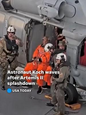 Video post by @usatoday on TikTok