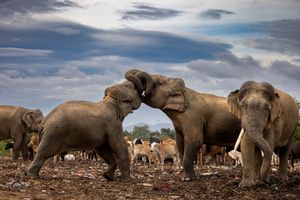 Image post by @natgeo on Instagram