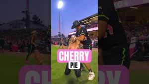 Video post by @thepartyanimals.bananaball on YouTube