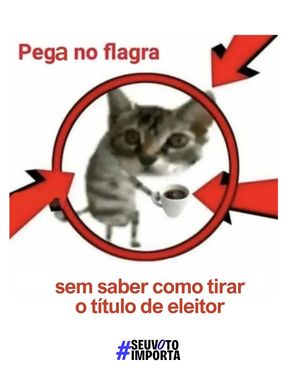 Image post by @girlupbrasil on Instagram
