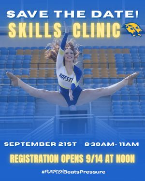 Image post by @hofstradanceteam on Instagram
