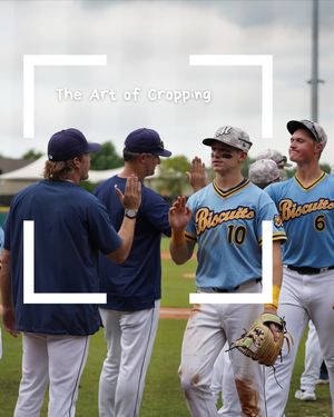 Image post by @biscuitbaseball on Instagram