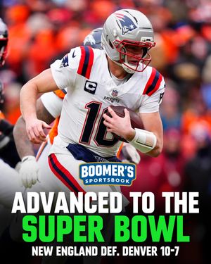 Image post by @betwithboomer on Instagram