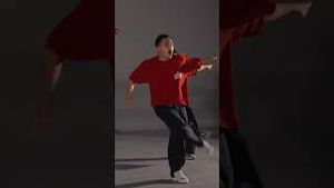 Video post by @1million_dance on YouTube