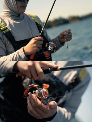 Image post by @profishiency on Instagram
