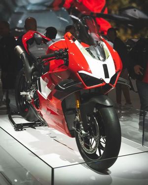 Image post by @panigalers on Instagram
