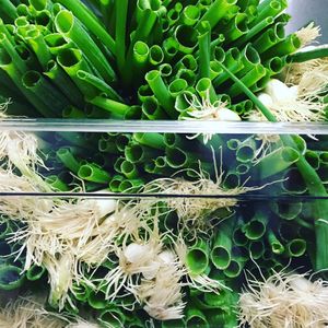 Image post by @impactkitchen on Instagram