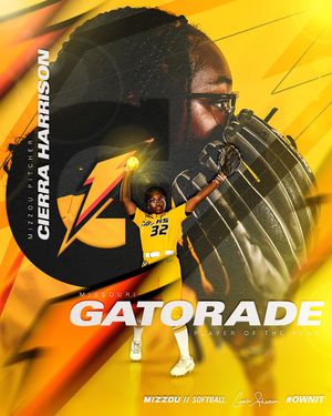 Image post by @MizzouSoftball on Twitter