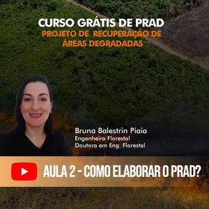Image post by @operitoambiental on Instagram