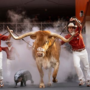 Image post by @texaslonghorns on Instagram