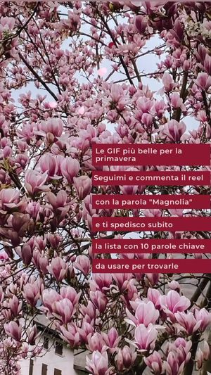Video post by @isabella_thefashioncherrydiary on Instagram