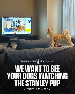 Image post by @nhl on Instagram