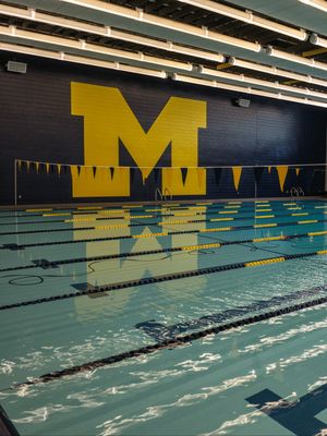Image post by @umstudentlife on Instagram