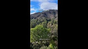 Video post by @zillow on YouTube