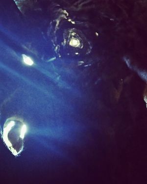 Image post by @kvandorn6 on Instagram