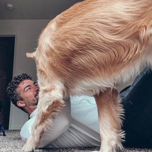 Image post by @theerichardtorrez on Instagram