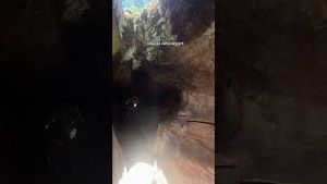Video post by @allisonhollandmedia on YouTube