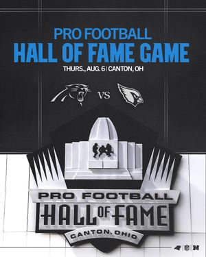 Image post by @panthers on Instagram