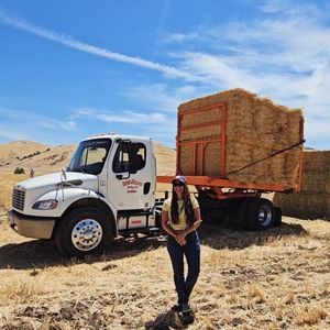 Image post by @freightlinertrucks on Instagram