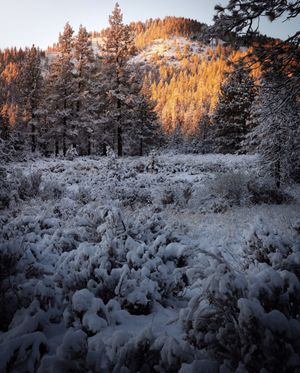Image post by @grainyknight on Instagram