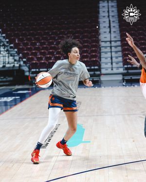 Image post by @ConnecticutSun on Twitter