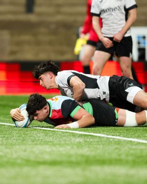 Image post by @harlequins on Instagram