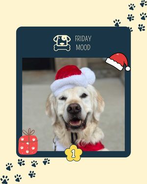 Image post by @saintroccostreats on Instagram