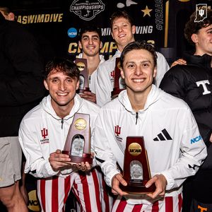 Image post by @indianaswimdive on Instagram