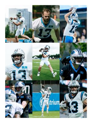 Image post by @panthers on Instagram
