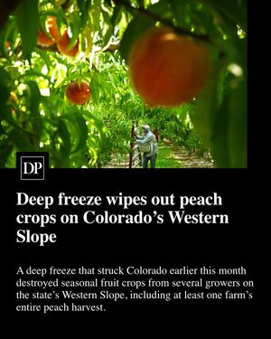 Image post by @denverpost on Instagram