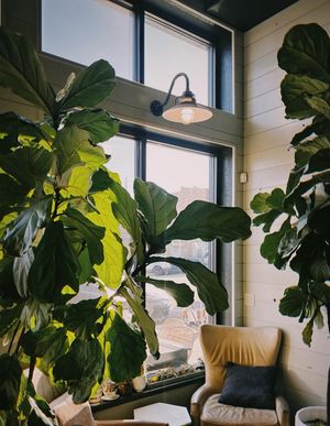 Image post by @balancedcoffeeco on Instagram