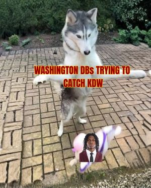 Image post by @barstoolusc on Instagram