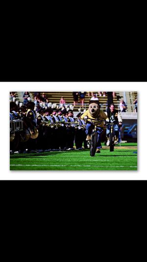 Video post by @tmncaasports2 on TikTok