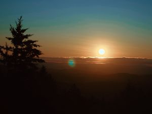 Image post by @_cookfilm on Instagram