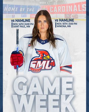 Image post by @smumn_whockey on Instagram