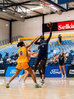 Image post by @basketball_vic on Instagram