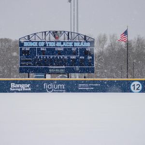 Image post by @mainebaseball on Instagram