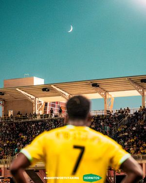 Image post by @newmexicoutd on Instagram