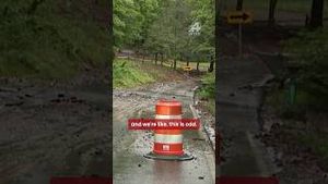 Video post by @wyffnews4 on YouTube