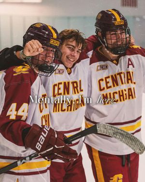 Image post by @cmuhockeyd3 on Instagram