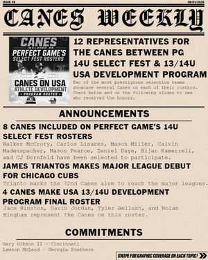Image post by @thecanesbb on Instagram
