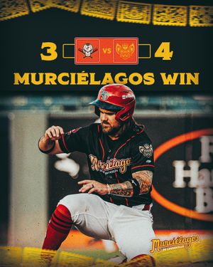 Image post by @louisvillebats on Instagram